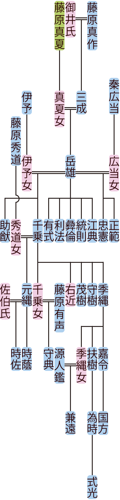 藤原岳雄の系図