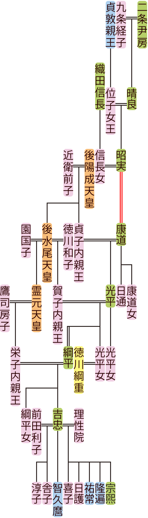 二条昭実～綱平の系図