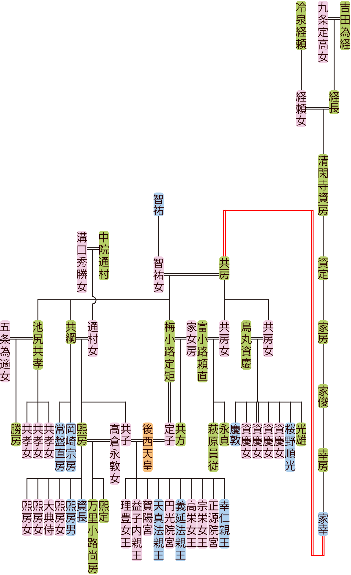 清閑寺資房～共綱の系図