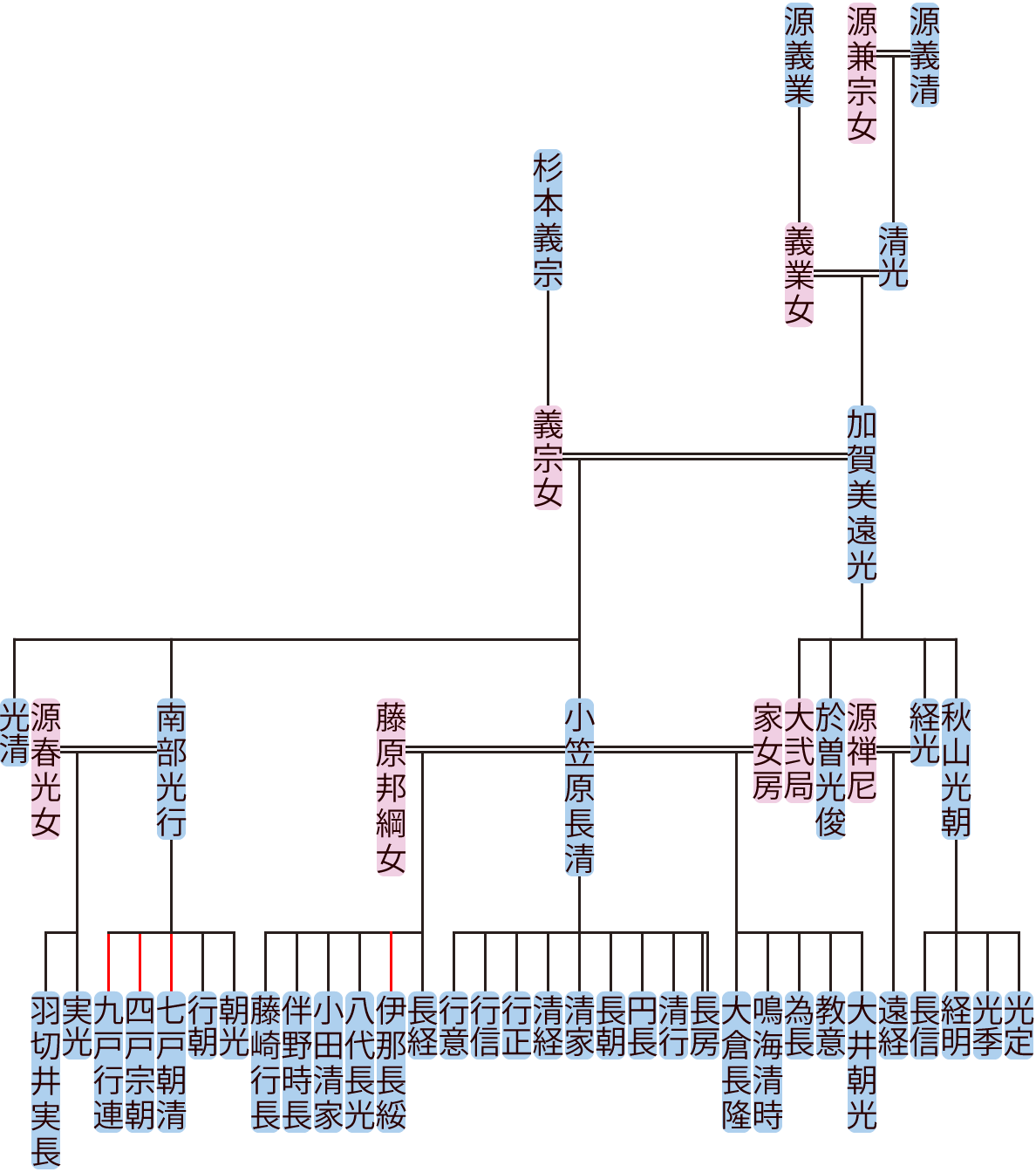 加賀美遠光の系図