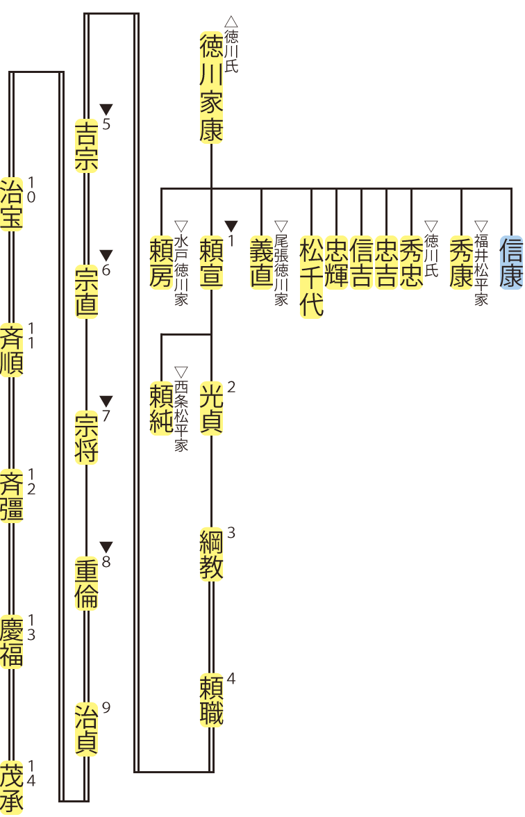 紀伊徳川家の略系図