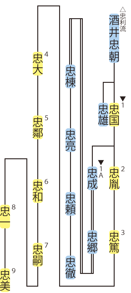 酒井氏・忠国流の略系図